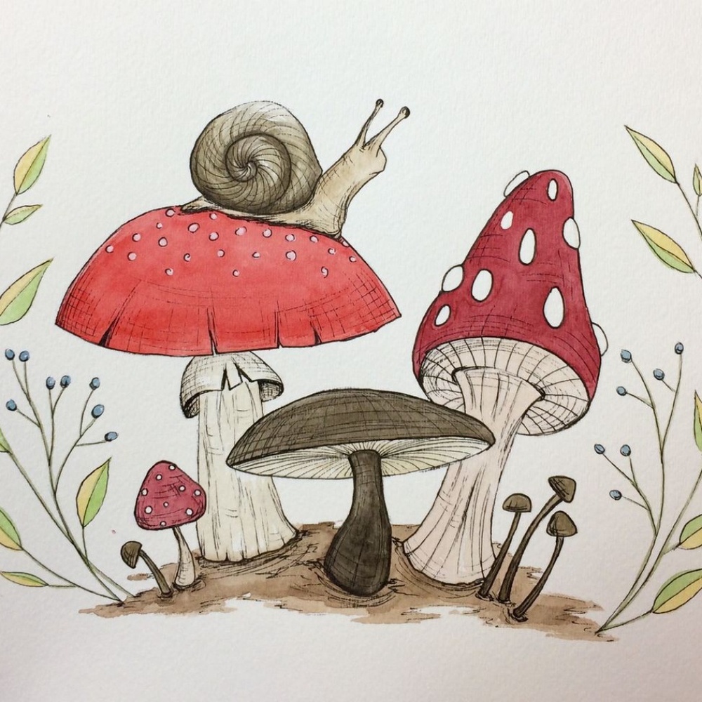 Welcome 🍄